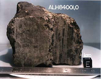 Meteorit ALH 84001. Kliknutím získáte obrázek s větším rozlišením.